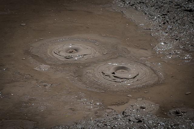 136 Rotorua, Te Puia.jpg
